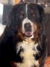 Gwendoline mit 11 Jahren