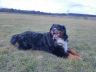 Maddox