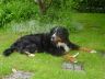 Wendy im Garten