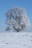 Winter 2013