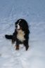 Julie im Schnee