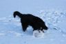 Winterbilder Januar 2013