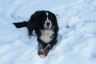 Julie im Schnee