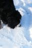 Winterbilder Januar 2013