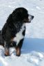 Winterbilder Januar 2013