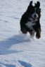 Winterbilder Januar 2013