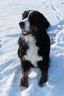 Winterbilder Januar 2013