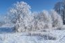 Winter 2013