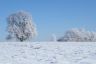 Winter 2013